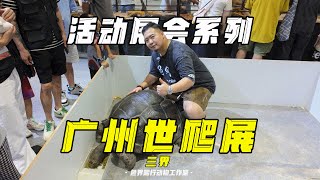【2025 World Reptile Expo】-三界