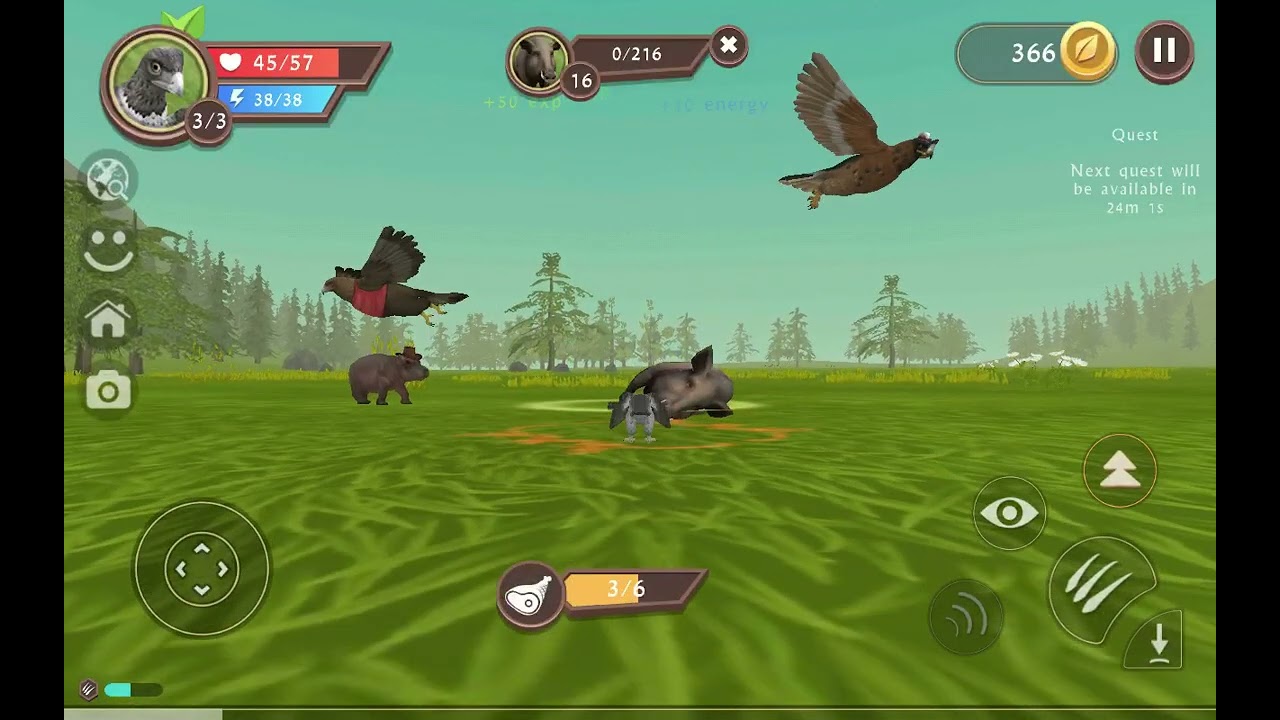 BIRRRRRB(in the wild life pt6)  |