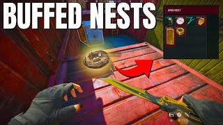 They did WHAT to Birds Nests?!
