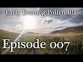 Early Evening Pollen Blast