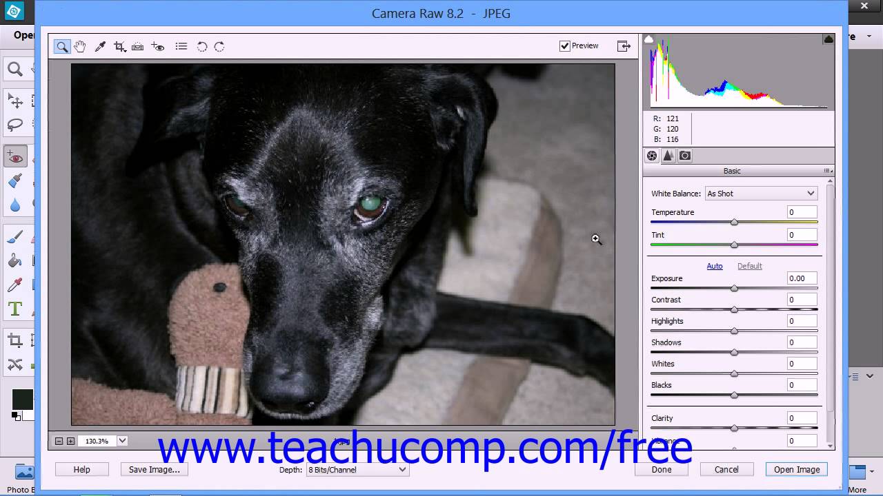 Photoshop Elements 12 Tutorial Opening Images in Camera Raw Adobe ...