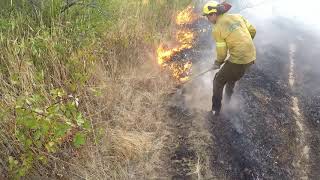 Brigada forestal  guerreros del fuego incendio pastizal