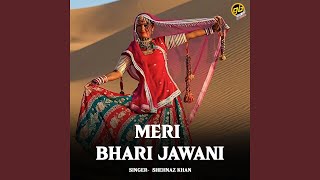 Meri Bhari Jawani
