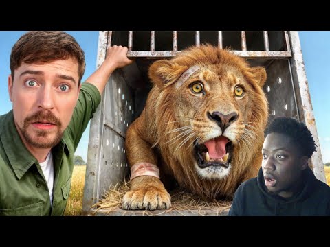 HenryTheYoungin Reacts To I Saved 1,000 Animals From Dying!