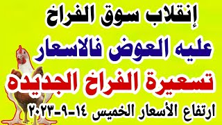 اسعار الفراخ اليوم سعر الفراخ البيضاء اليوم الخميس ١٤-٩-٢٠٢٣ في مصر