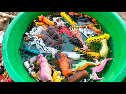 Plastic Animals in Water Tub Dinosaurs, Tiger, Giraffe, Elephant, Gorilla, Cats, Dog,Cow, Deer, Fox,