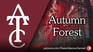 RPG | D&D Ambience - Autumn Forest (rain falling on leaves, birds chirping)
RPG | D&D Ambience - Autumn Forest
The ambience of heavy raindrops falling on leaves in a forest, while birds are chirping.
PATREON: https://www.patreon.com/theambiencechannel
Contacts:
- Email: theambichannel@gmail.com
- Facebook: https://www.facebook.com/TheAmbienceChannel/
The Ambience Channel
#ambience #rpg #dnd RPG | D&D Ambience - Autumn Forest (rain falling on leaves, birds chirping)