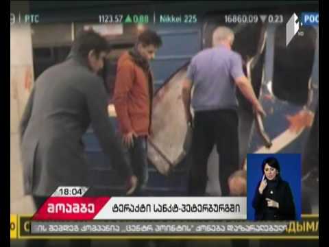 სანკტ-პეტერბურგის მეტროში აფეთქებას ტერაქტის კვალიფიკაცია მიენიჭა