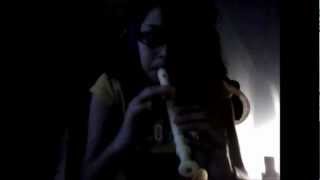 Test Drive How to Train Your Dragon on RECORDER!