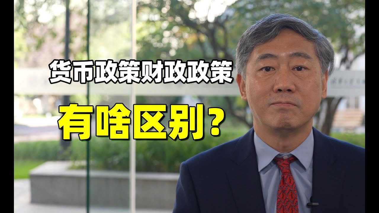 李稻葵：货币政策、财政政策有啥区别？【清华大学李稻葵】