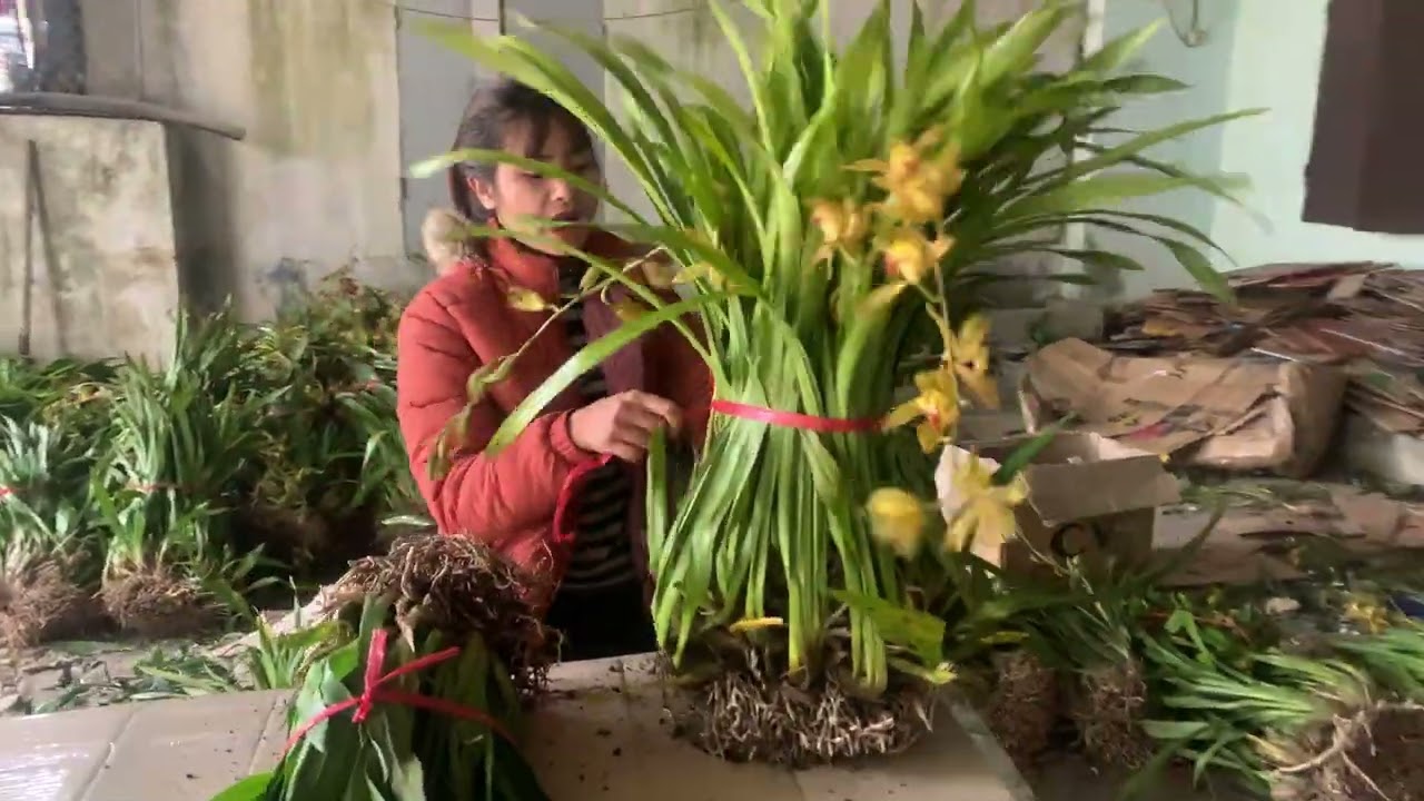 Thanh lý địa Lan Trần mộng sdt 096878.4321