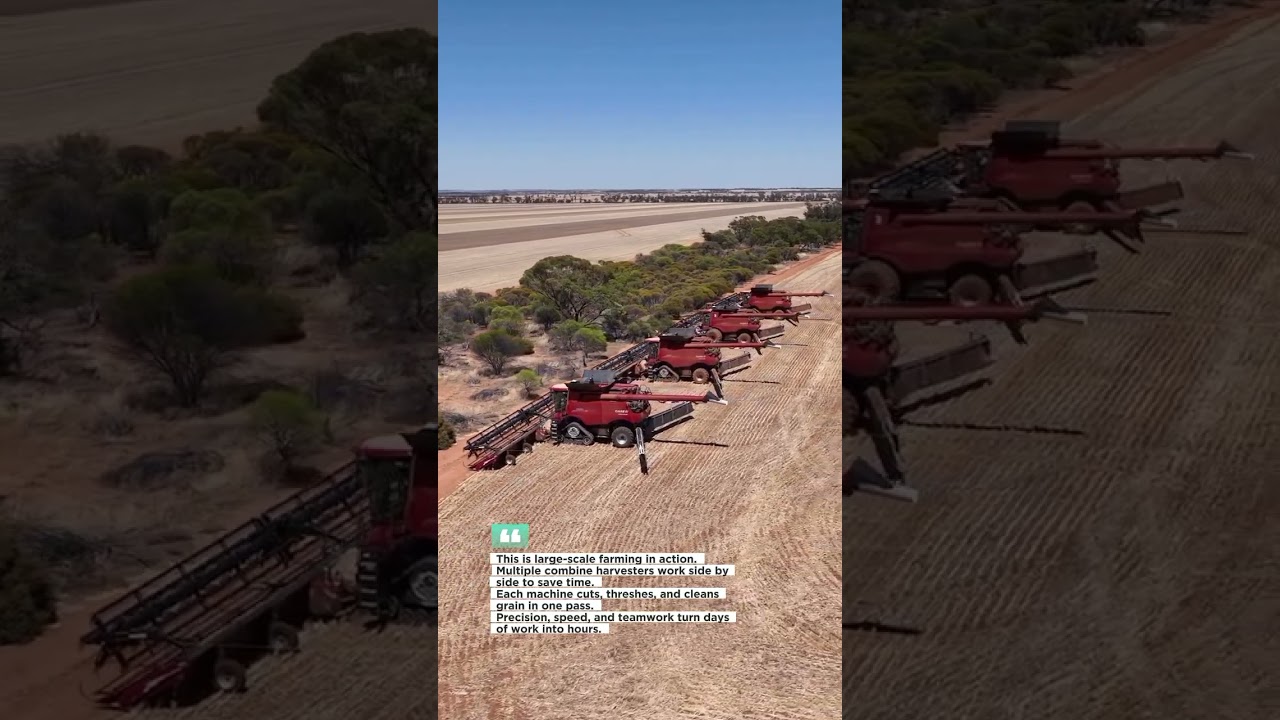 When Harvest Never Stops 