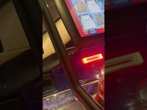 Rodrigo Arizpe Tu De Que Vas Casino Life Insurgentes
