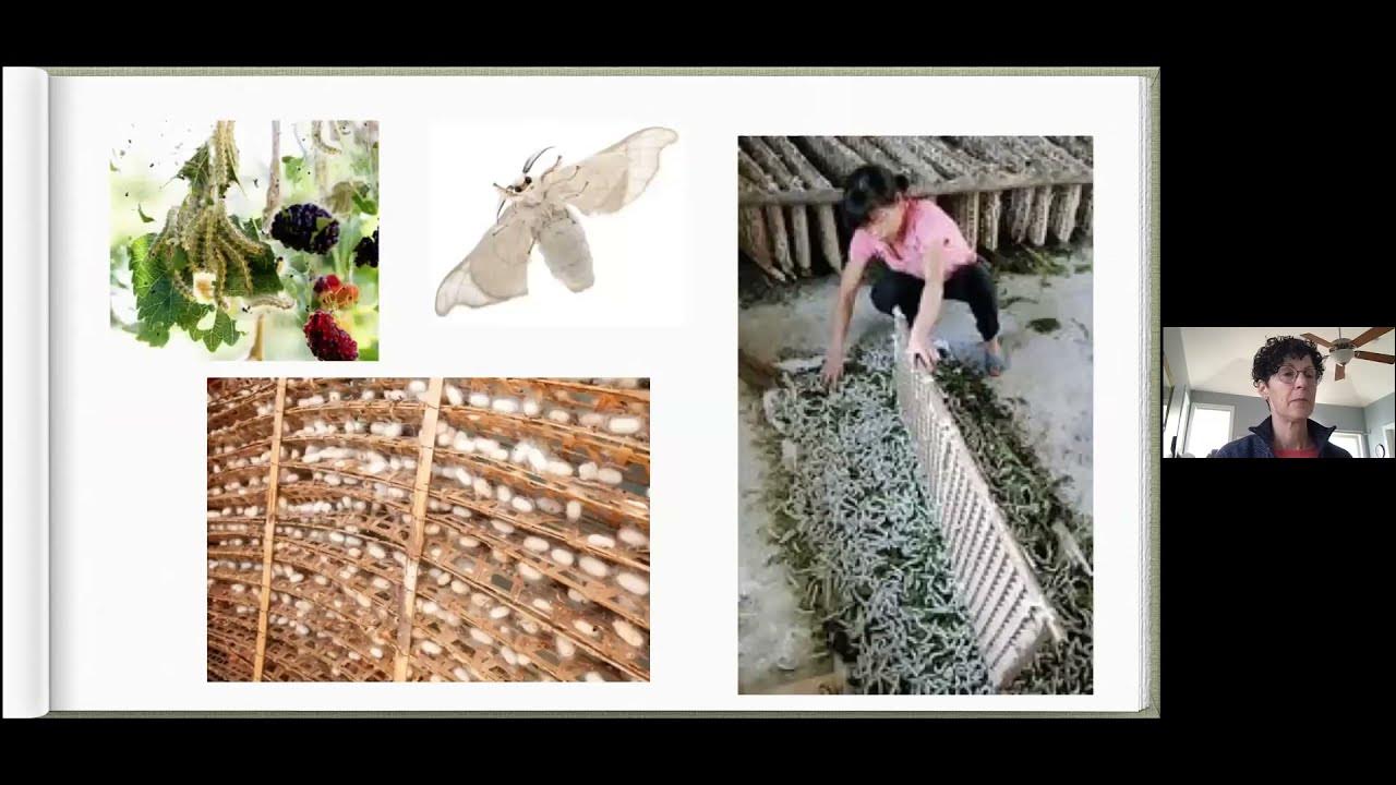 Books Sandwiched In "The Golden Thread How Fabric Changed History