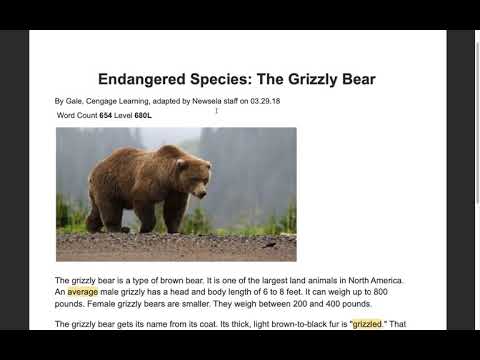 Endangered Species: The Grizzly Bear Read Aloud