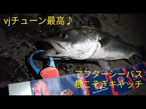 冬のおすすめルアー静ヘッドでシーバスを釣る 夜は明暗を攻めれば簡単にシーバスが釣れます Vjチューニングした静ヘッドの冬の実験シーバス釣行 Youtube