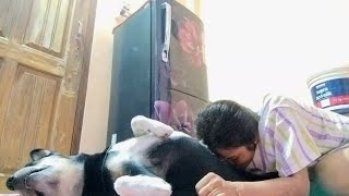 Cute Happy Morning With My Dog Shinchan Fun & Angry Reactions
