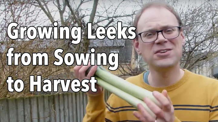 Growing Leeks from Sowing to Harvest