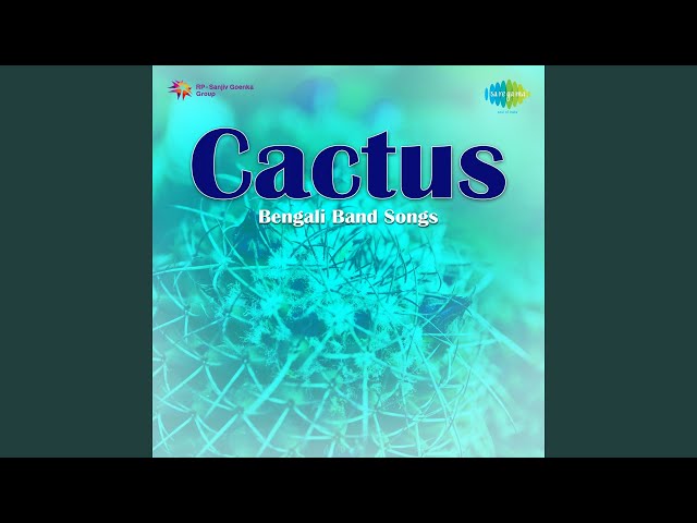 Sei Je Holud Pakhi Lyrics (সেই যে হলুদ পাখি) Cactus Band