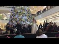 Can&#39;t Help Falling in Love With You - Soprano Carmen Goett (Live Opera)