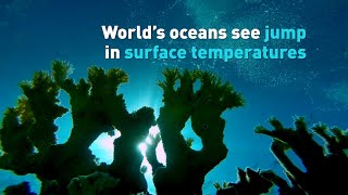 World’s oceans see jump in surface temperatures