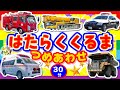 のりもの集合 はたらくくるま つめあわせ30分 子供向け 車アニメ 人気の働く車たちがたくさん出動 消防車 パトカー 救急車 乗り物知育動画 