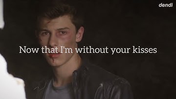 Thumbnail of Shawn Mendes - Stitches (Lyrics & Video)