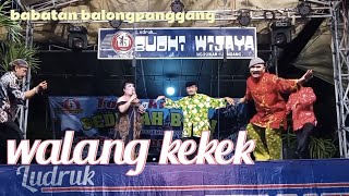 walang kekek LUDRUK budhi wijaya || babatan balongpanggang gresik