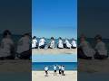 TWS Japan 2nd Single 「SODA SODA」 MV Behind