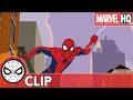 Conclusión | Spider-Man de Marvel