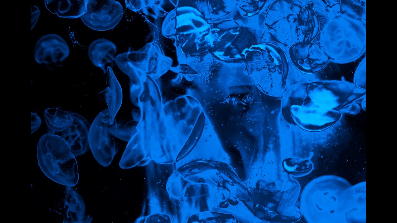 SHIPWRECK from DEEP CREATURES by THE AMPLIFIED ELEPHANTS