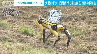 あの犬型ロボが救世主に！？林業の人手不足解消へ(2022年6月28日)