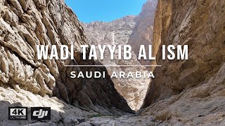 Download Lagu Silent Hike in Wadi Tayyib al Ism | وادي طيب اسم 🇸🇦 Saudi Arabia MP3