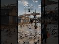 حنيتلك روحى يا مداوى جروحى حنيتلك روحى يا مداوى جروحى
