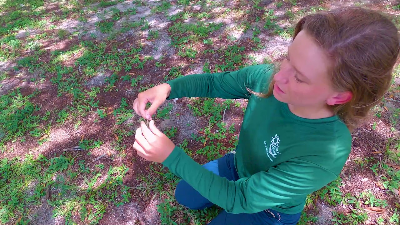 Explorers' Activity: How to Make Palm Fiber Cordage