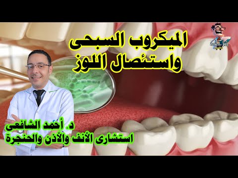 الميكروب السبحي عالي اخد البنسلين ولا لا اهلا يا دكتور تخصص امراض الأنف والأذن والحنجرة