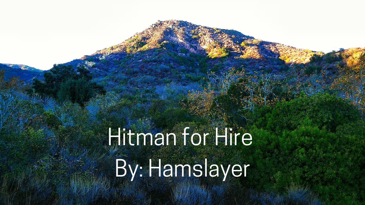 Hitman for hire