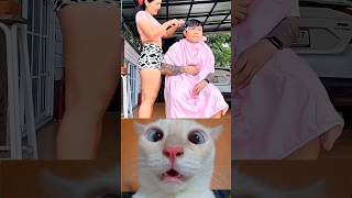 "#cat #funny #quran #nasr",