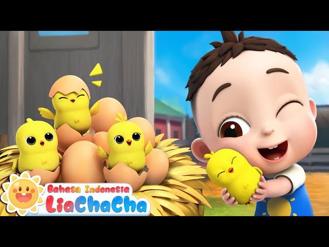 Lagu Menghitung Ayam Kecil 🐣| Lima Ayam Kecil | LiaChaCha ☀️| Lagu Anak | LiaChaCha Bahasa Indonesia class=