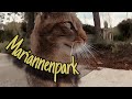 Mariannenpark (Spaziergang)