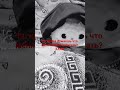 мой котик снежок