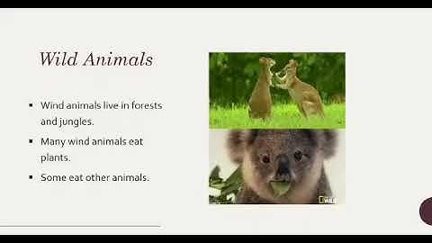 Grade 2 Science Lecture # 4