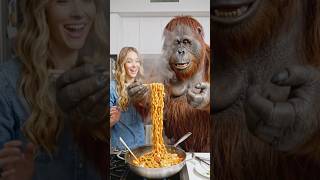 Monkey Using Chopsticks for Spicy Noodles 🐵🍜 | Wolf Enjoys BBQ Ribs by the Campfire 🐺🔥🍖