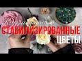 Стабилизированные цветы через 5 лет | Как меняются стабилизированные растения со временем