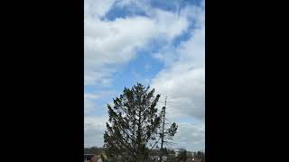 Music, Video Attrebute Nienschen. Nach dem sturm wird es ruhiger.🥰👍 Viel spass #nature
