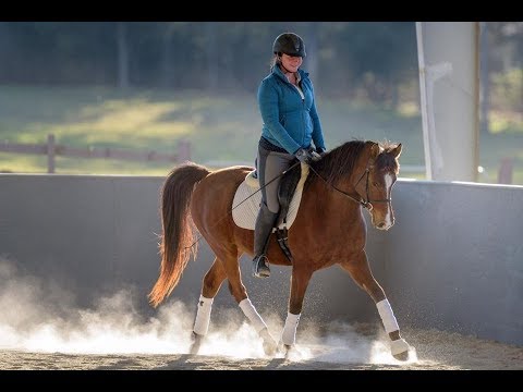 How to Keep Your Hands QUIET When Riding // Fix Your Bouncing Hands
