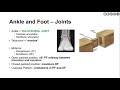 The Foot and Ankle | Overview of Anatomy, Kinesiology and Biomechanics