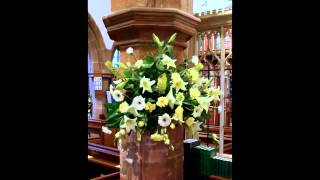 Easter Lilies 2012