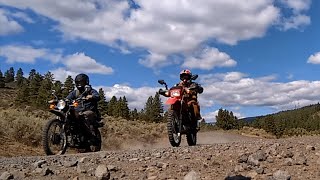 1974 Honda XL175 | 1985 Honda XL250R NANEUM RIDGE STATE FOREST WA