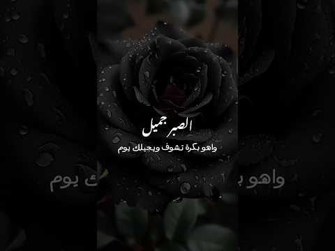 الصبر جميل مهى فتوني 